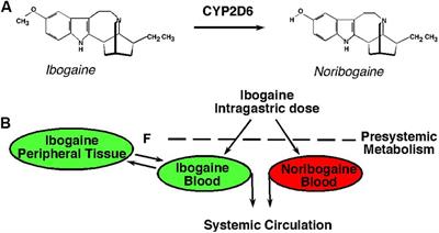 Ibogaine Detoxification Transitions Opioid and Cocaine Abusers Between Dependence and Abstinence: Clinical Observations and Treatment Outcomes